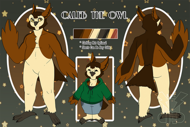 Caleb the Owl Ref
